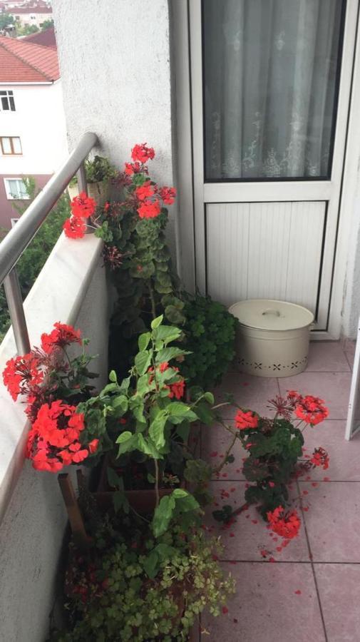 Single Room, Одноместная Комната В Доме, Chambre D'Une Personne, Habitacion Individual Istanbul Exteriör bild