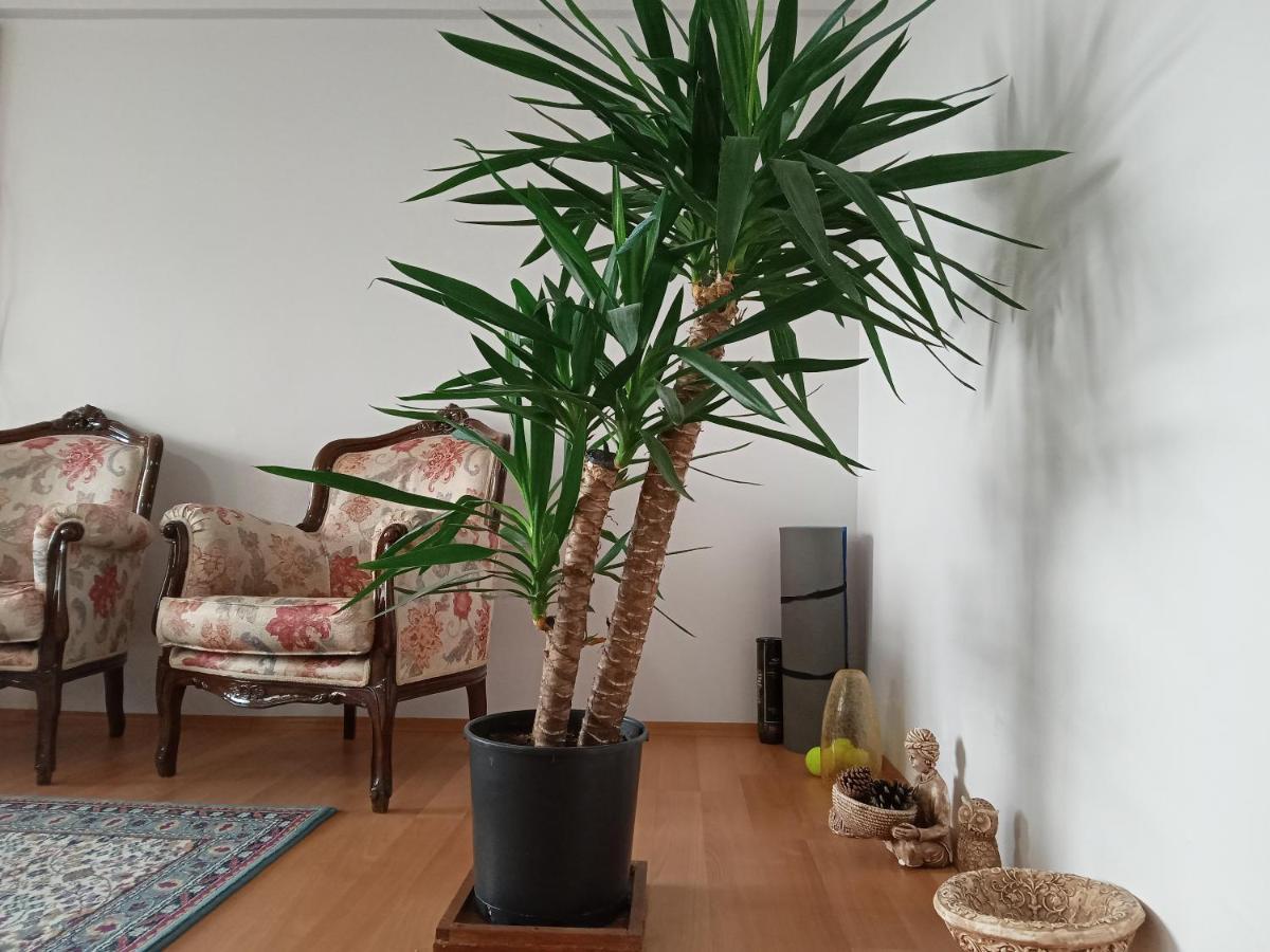 Single Room, Одноместная Комната В Доме, Chambre D'Une Personne, Habitacion Individual Istanbul Exteriör bild